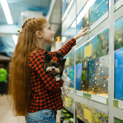 pet stores loyalty program