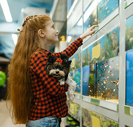 pet stores loyalty program